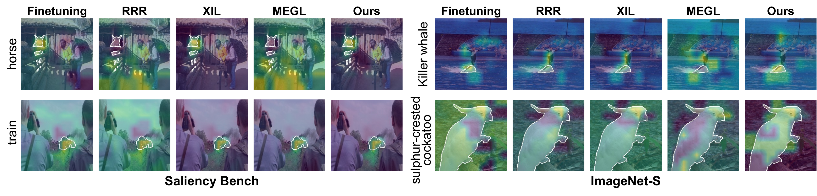Classification attribution comparison across fine-tuning, RRR, XIL, MEGL, and our method